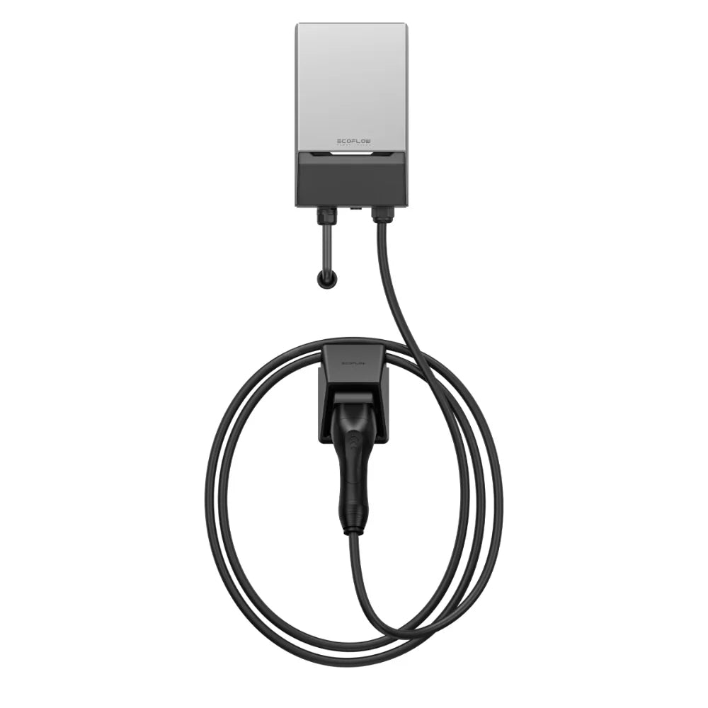 EcoFlow PowerPulse - Pesasun Großhandel
